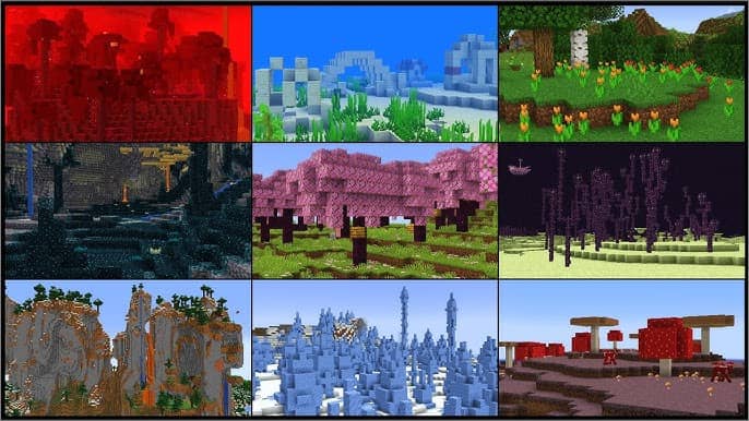 A collection of the various minecraft biomes