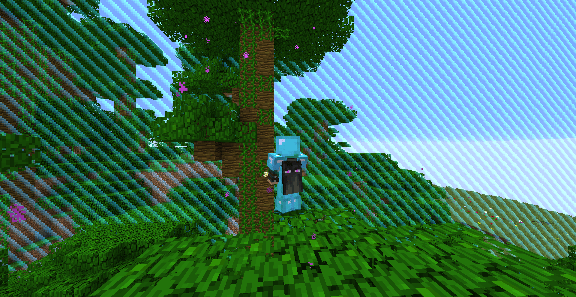 The minecraft world border